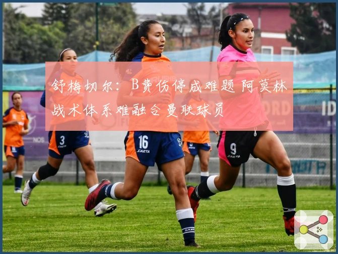 舒梅切尔：B费伤停成难题 阿莫林战术体系难融合曼联球员