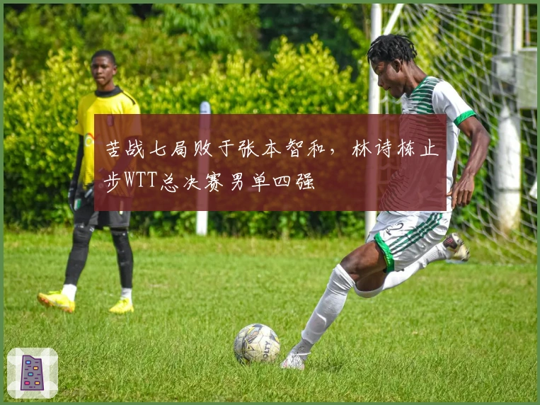 苦战七局败于张本智和，林诗栋止步WTT总决赛男单四强