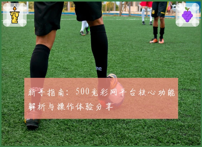 新手指南：500竞彩网平台核心功能解析与操作体验分享