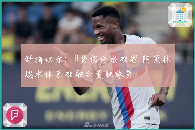 舒梅切尔：B费伤停成难题 阿莫林战术体系难融合曼联球员